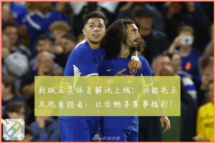 新版五星体育解说上线：功能亮点及观看指南，让你畅享赛事精彩！