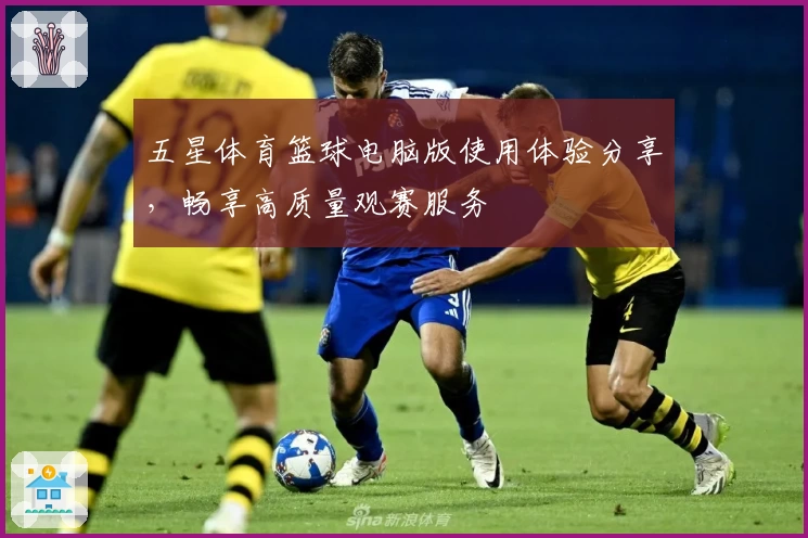 五星体育篮球电脑版使用体验分享，畅享高质量观赛服务