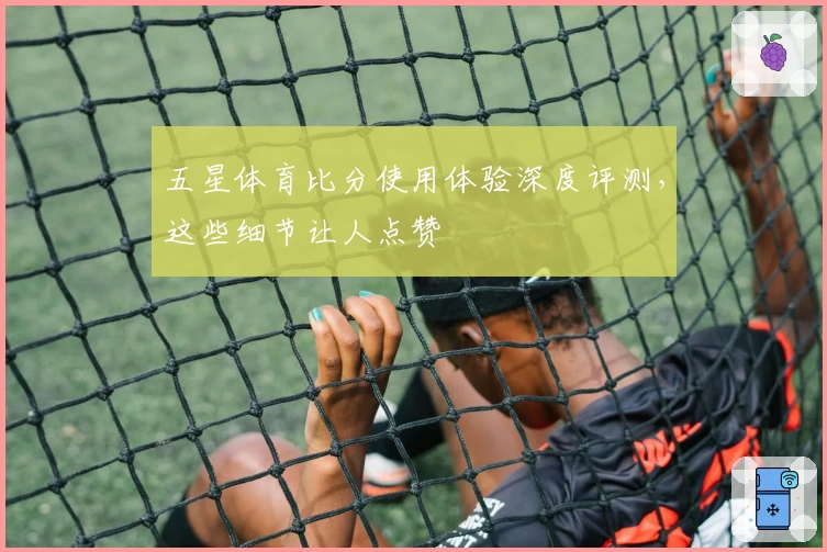 五星体育比分使用体验深度评测，这些细节让人点赞