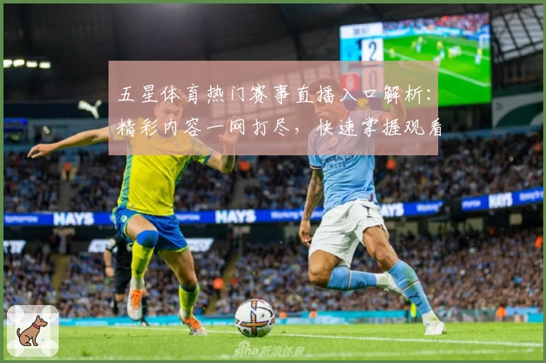 五星体育热门赛事直播入口解析：精彩内容一网打尽，快速掌握观看全攻略