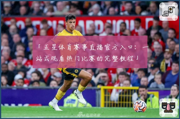 「五星体育赛事直播官方入口：一站式观看热门比赛的完整教程」