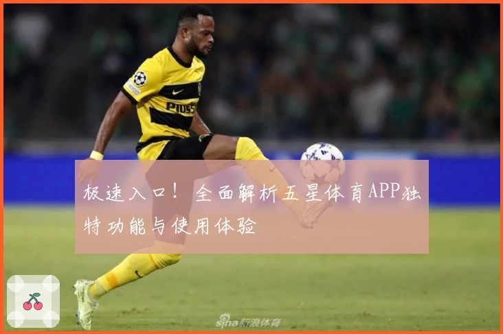 极速入口！全面解析五星体育APP独特功能与使用体验